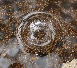 PC313349a.jpg